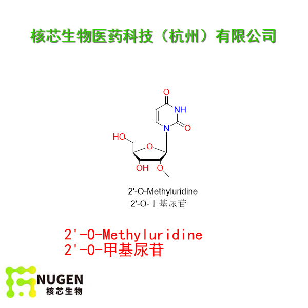 2'-甲氧基尿苷