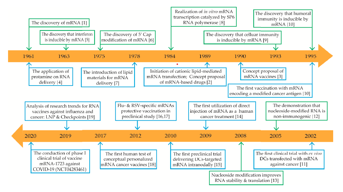 Timeline Of Some Key Discoveries And Advances In The Development Of ...