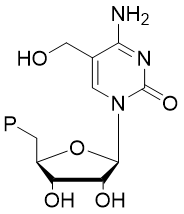 5-Hydroxymethyl CTP