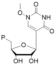 5-Methoxy UTP