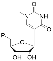 N1-Methyl Pseudo UTP